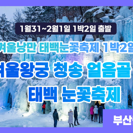 겨울낭만 태백눈꽃축제 1박2일❄️ 겨…