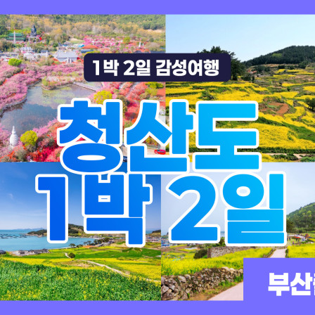 청산도 1박2일 여행