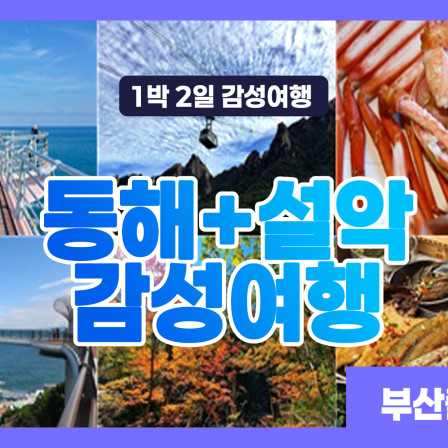 동해+설악 1박 2일 감성여행